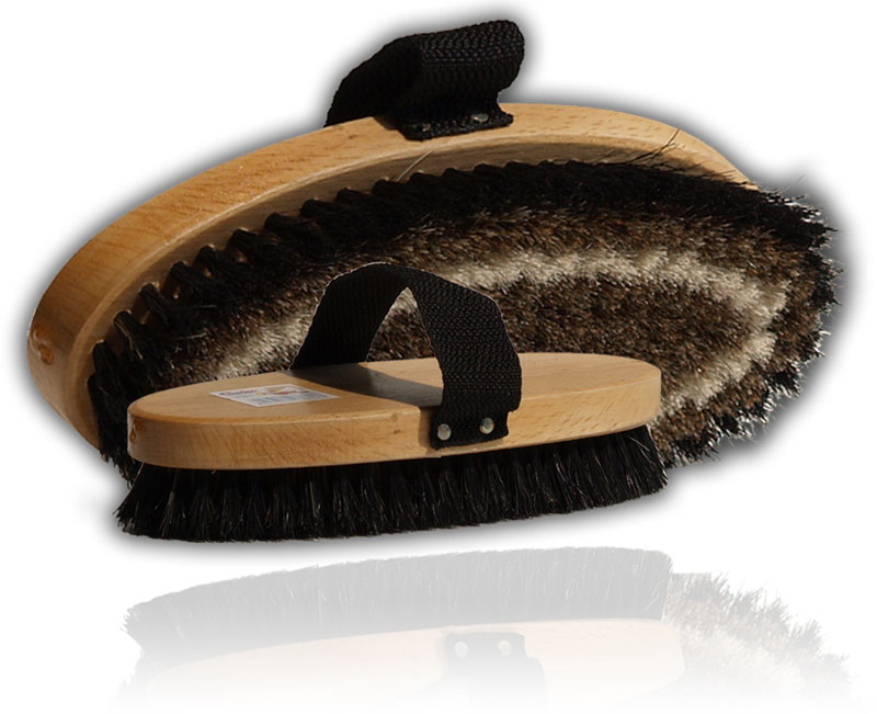 Horse grooming brush small